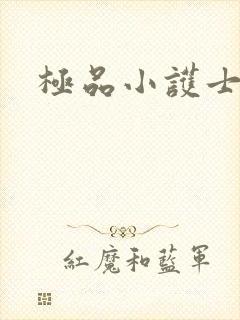 极品小护士封面