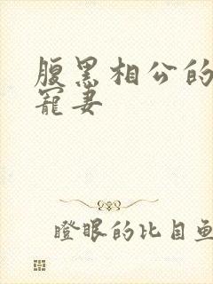 腹黑相公的庶女宠妻