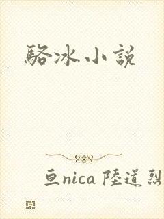骆冰小说