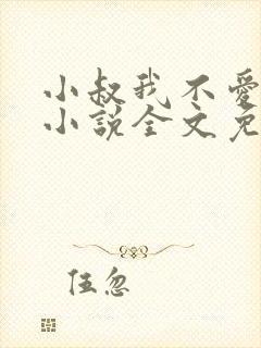 小叔我不爱你了小说全文免费阅读封面