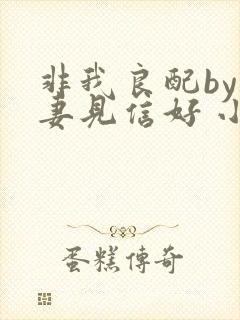 非我良配by吾妻见信好 小说免费阅读