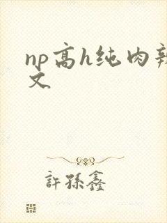 np高h纯肉辣文封面