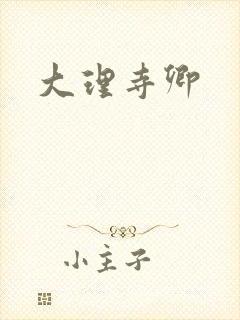 大理寺卿