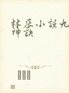 林辰小说九天斩神诀