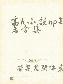 高h小说np短篇合集封面