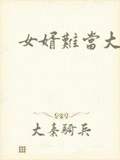 女婿难当大结局