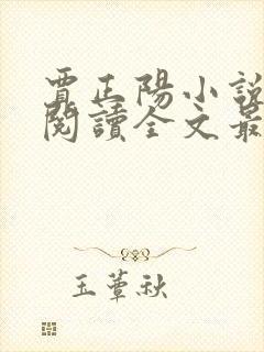 贾正阳小说免费阅读全文最新章节封面