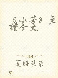 《小芳》免费阅读全文
