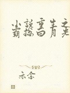 小说重生之她是霸总白月光免费阅读封面