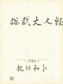 总裁大人轻一点