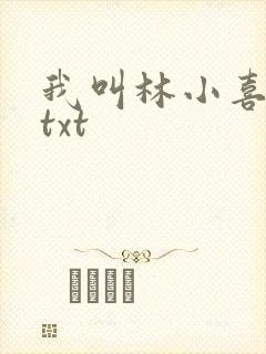 我叫林小喜小说txt封面