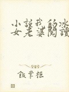 小说我的冰山美女老婆阅读