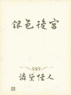 银色后宫封面