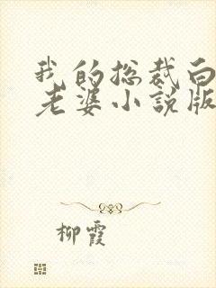 我的总裁白富美老婆小说版