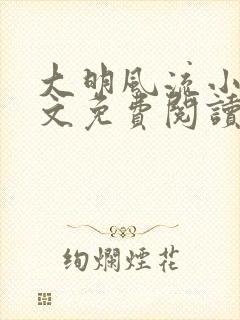 大明风流小说全文免费阅读txt完结版封面