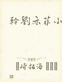 干刘亦菲小说