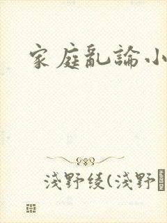 家庭乱论小说