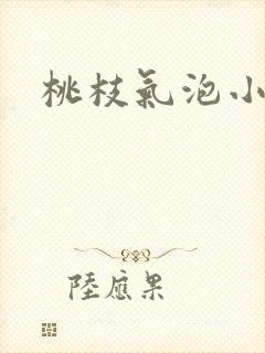 桃枝气泡小说