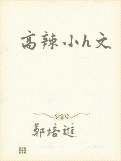 高辣小h文