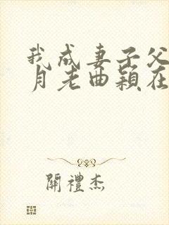 我成妻子父亲的月老曲颖在线阅读
