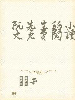 阮先生的小说全文免费阅读无弹窗