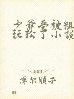 少爷受被粗汉H玩松了小说