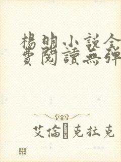 杨明小说全文免费阅读无弹窗