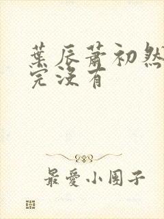 叶辰萧初然更新完没有