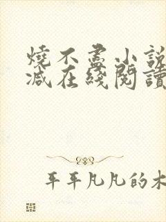 烧不尽小说无删减在线阅读