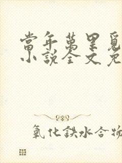 当年万里觅封侯小说全文免费阅读