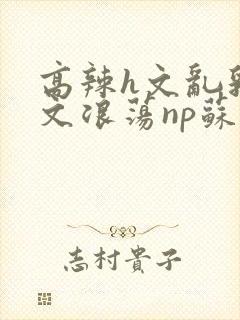 高辣h文乱乳h文浪荡np苏夏