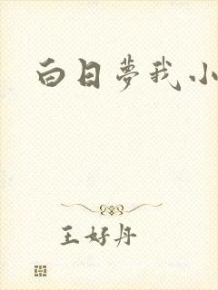 白日梦我小说