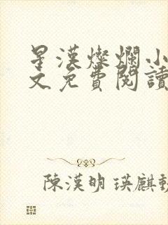 星汉灿烂小说全文免费阅读