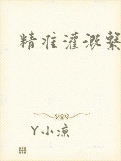 精准灌溉系统