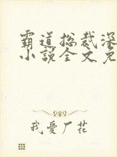 霸道总裁深深宠小说全文免费阅读