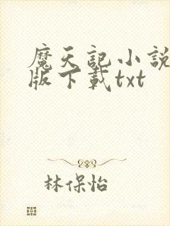 魔天记小说完整版下载txt封面