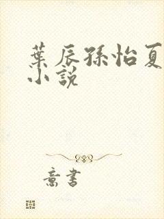 叶辰孙怡夏若雪小说封面