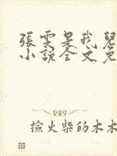 张雯是我儿媳妇小说全文免费阅读
