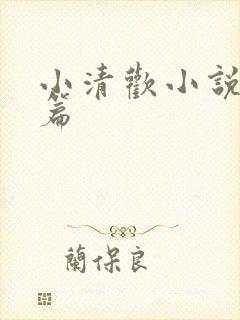 小清欢小说番外篇