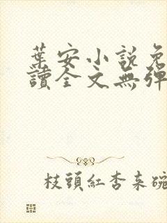 叶安小说免费阅读全文无弹窗封面