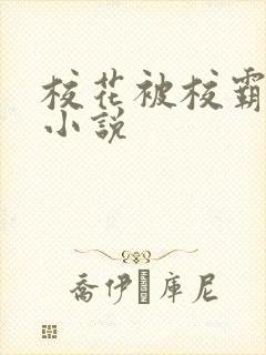 校花被校霸欺负小说