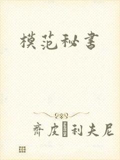 模范秘书封面