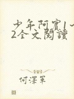 少年阿宾1～72全文阅读