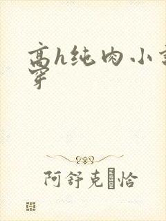高h纯肉小说快穿封面