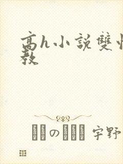 高h小说双性调教