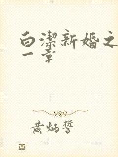 白洁新婚之夜第一章