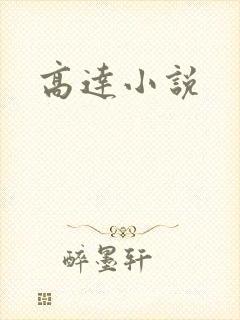 高达小说