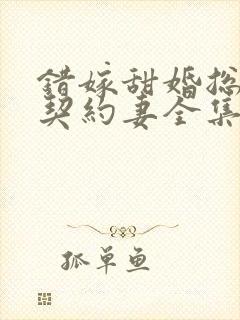 错嫁甜婚总裁的契约妻全集