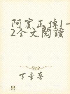阿宾正传1—72全文阅读