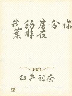 我的房分你一半叶非夜